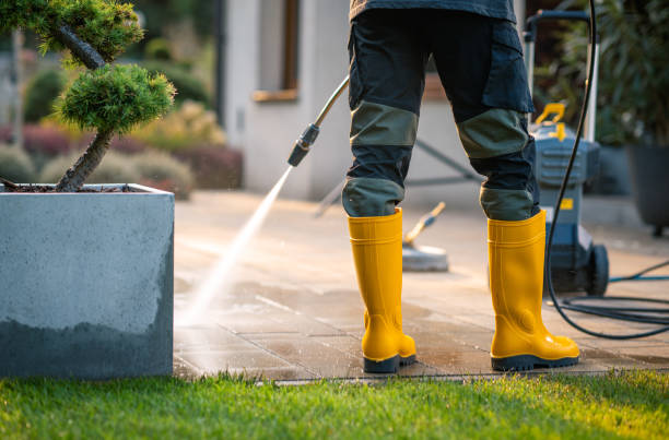 Best Pressure Washing Company Near Me  in Point Pleasant, NJ